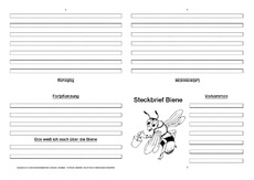 Biene-Faltbuch-vierseitig-3.pdf